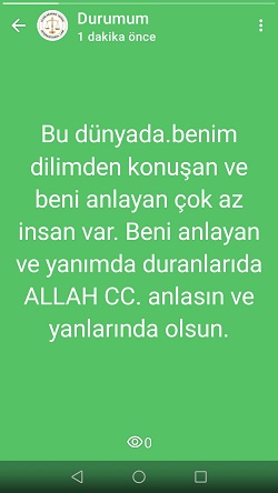 Screenshot_20250321-003914.jpg (361473 bytes)