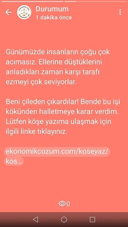 Screenshot_20250519-180818.jpg (411380 bytes)