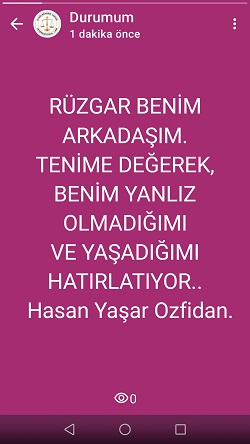 Screenshot_20250607-193014.jpg (351144 bytes)